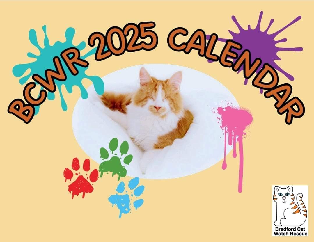 BCWRkittens's tweet photo. BREAKING NEWS AT BCWR!
We will be having a 2025 calendar after all!
Thanks to one of our amazing volunteers who has stepped in at the 11th hour, we are now able to offer a 2025 Sanctuary Calendar.
The Calendar will be going to print this week,so watch this space how you can order https://t.co/Gfc7ATDTBo