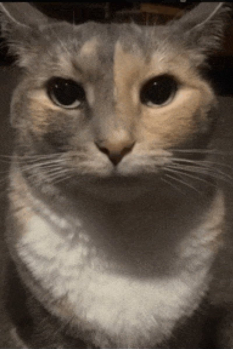 Save screen in silent hill 2 remake be like