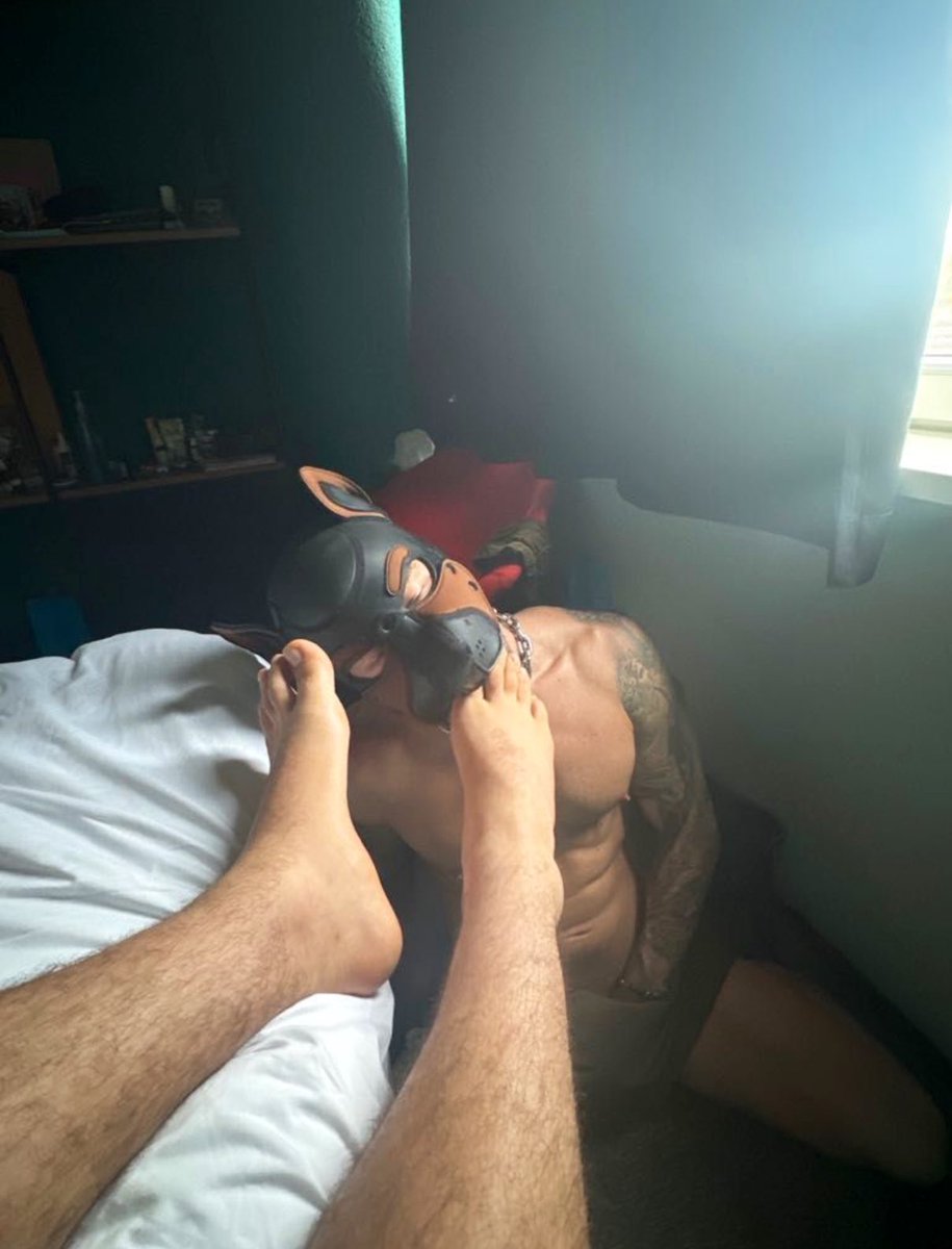 The Downward Facing Doggo tweet media