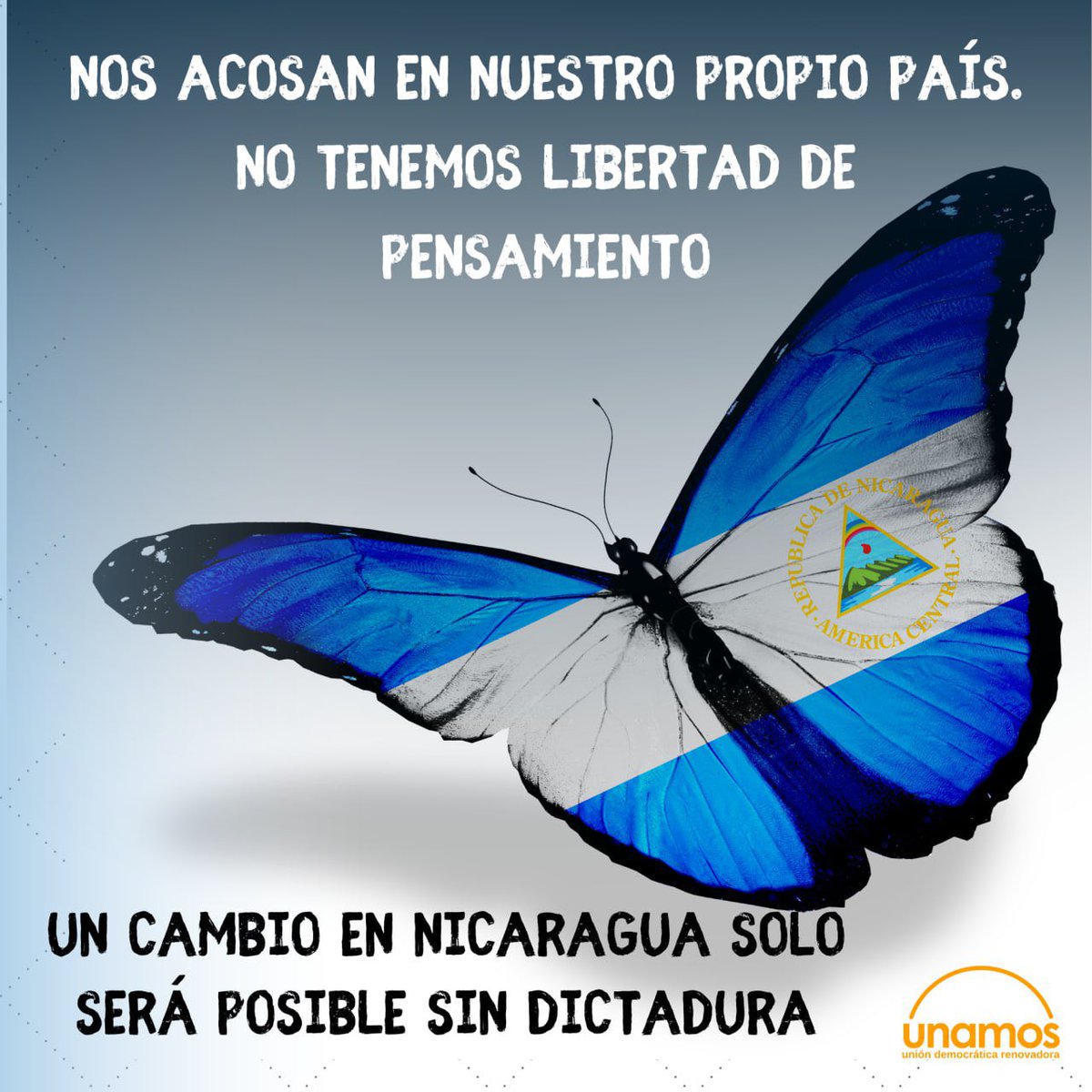 diversunamos's tweet photo. Demandamos el cese del régimen de terror. Luchamos para que los nicaragüenses podamos vivir en libertad en nuestro país. Poder expresarnos sin que nuestra vida nos sea arrebatada. #PatriaLibreParaVivir  #LibertadYa 
@unamosnica @Juventud_UNAMOS @anavijil @SuyenB1 https://t.co/dh4mLlIrV8
