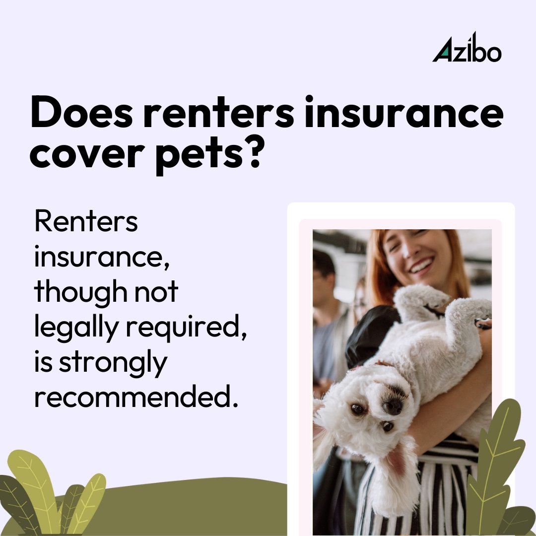 azibo_inc's tweet image. Protect your home and pets with renters insurance! Learn about coverage options, costs, and benefits. Stay prepared for the unexpected. 

Read more here: azibo.com/blog/renter-in…

#PetInsurance #RentersInsurance #PetOwners #HomeSafety #PetSafety