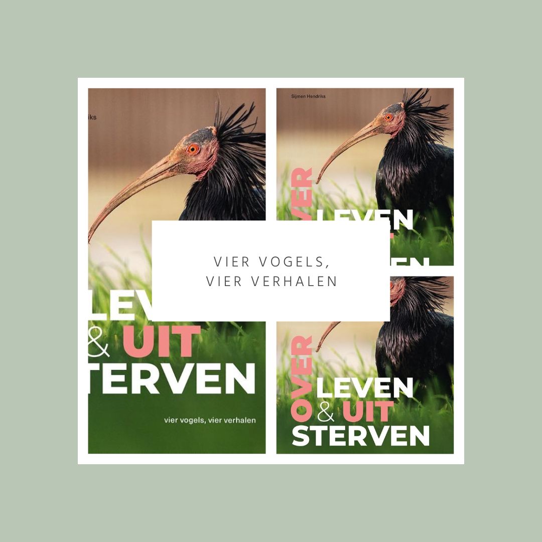 De visdief (@devisdief) on Twitter photo Vier vogels, vier verhalen. Treurige verhalen, maar de hoop ontbreekt niet. Reuzenalk, heremietibis, kemphaan en grutto staan model voor neergang en herstel van populaties. Je leest mijn recensie op visdief.nl/recensie-over-… <a href="/KNNVUitgeverij/">KNNV Uitgeverij</a> #vogelboek #uitsterven Vier vogels, vier verhalen. Treurige verhalen, maar de hoop ontbreekt niet. Reuzenalk, heremietibis, kemphaan en grutto staan model voor neergang en herstel van populaties. Je leest mijn recensie op visdief.nl/recensie-over-… <a href="/KNNVUitgeverij/">KNNV Uitgeverij</a> #vogelboek #uitsterven