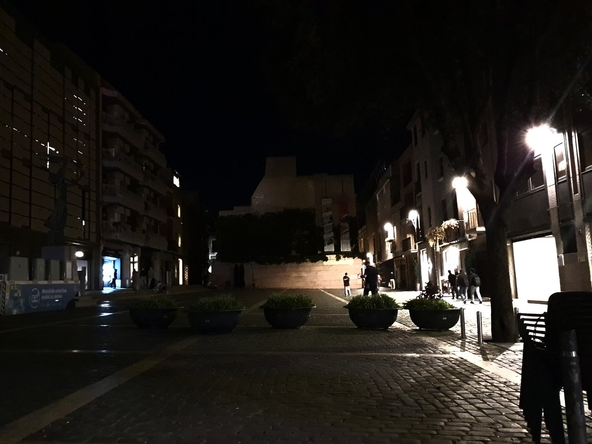 Alba Roca tweet media