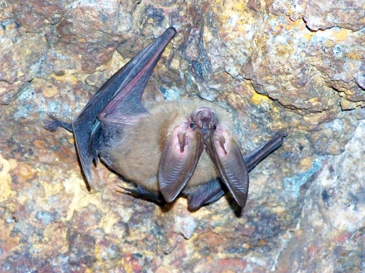 Bureau of Land Management - National tweet media