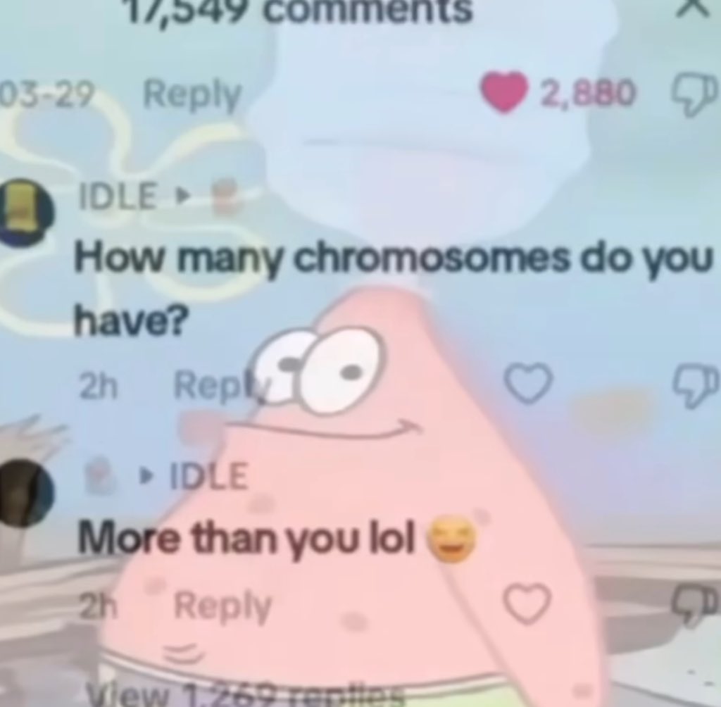 moristiko's tweet image. 