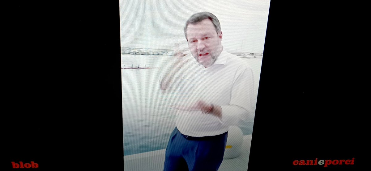 SilvanaDenicolo's tweet image. Cani, porci e #PONTI 
#abnormal

#BLOB
#caniEporci
@BlobRai3