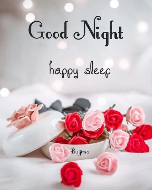👉✨Good night 🌃🌃🙏 

💓🙏राधे राधे 💝🙏 

✨🙏जय श्री कृष्णा 💓🙏 

🤞🌷शुभ रात्रि 💓🌹