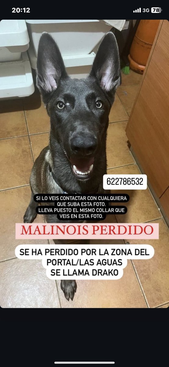 PORFAVOR GENTE QUE SEA DE LA ZONA DEL PORTAL TODA AYUDA ES BUENA , COMPARTIR PORFAVOR‼️‼️‼️‼️‼️