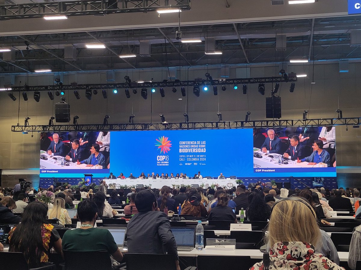DrAliHutchinson's tweet photo. The opening plenary for #CBDCOP16 has begun! Opening statements incl. calls for: 🙌 elevating Indigenous Peoples &amp; local communities, 💲ensuring funds reach local groups (rather than intermediaries), 🌿 &amp; the protection of human rights, environmental defenders &amp; Mother Earth https://t.co/OC008b4W54
