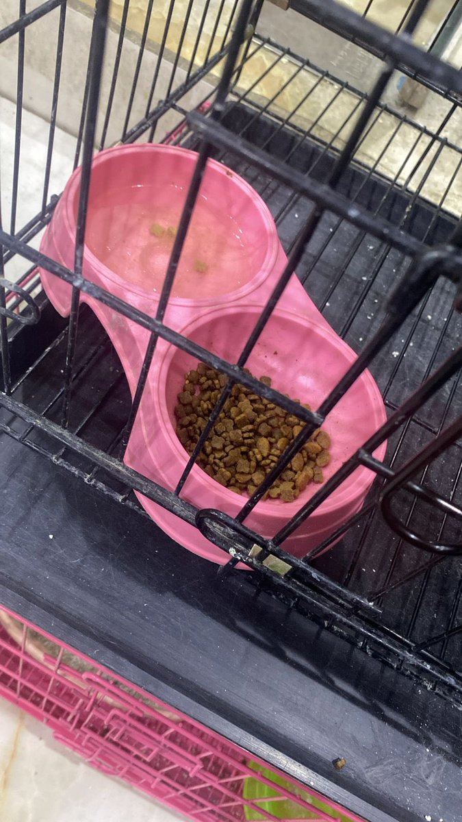 فريق أرواح tweet media