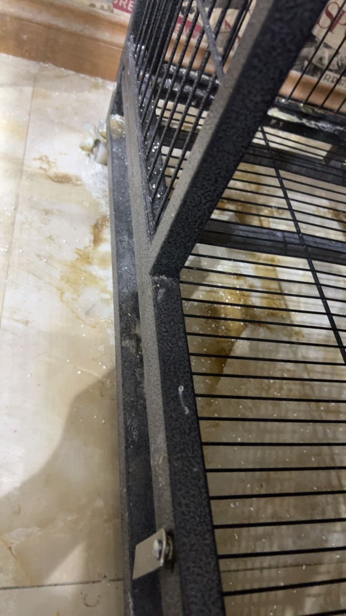 فريق أرواح tweet media