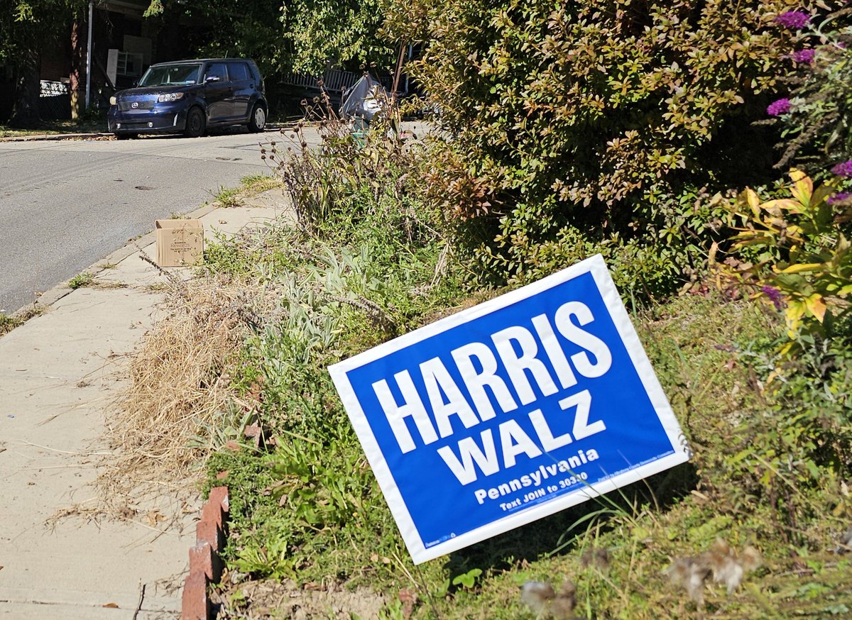 Nathaniel Yap 🇺🇸🗽🦅 tweet media