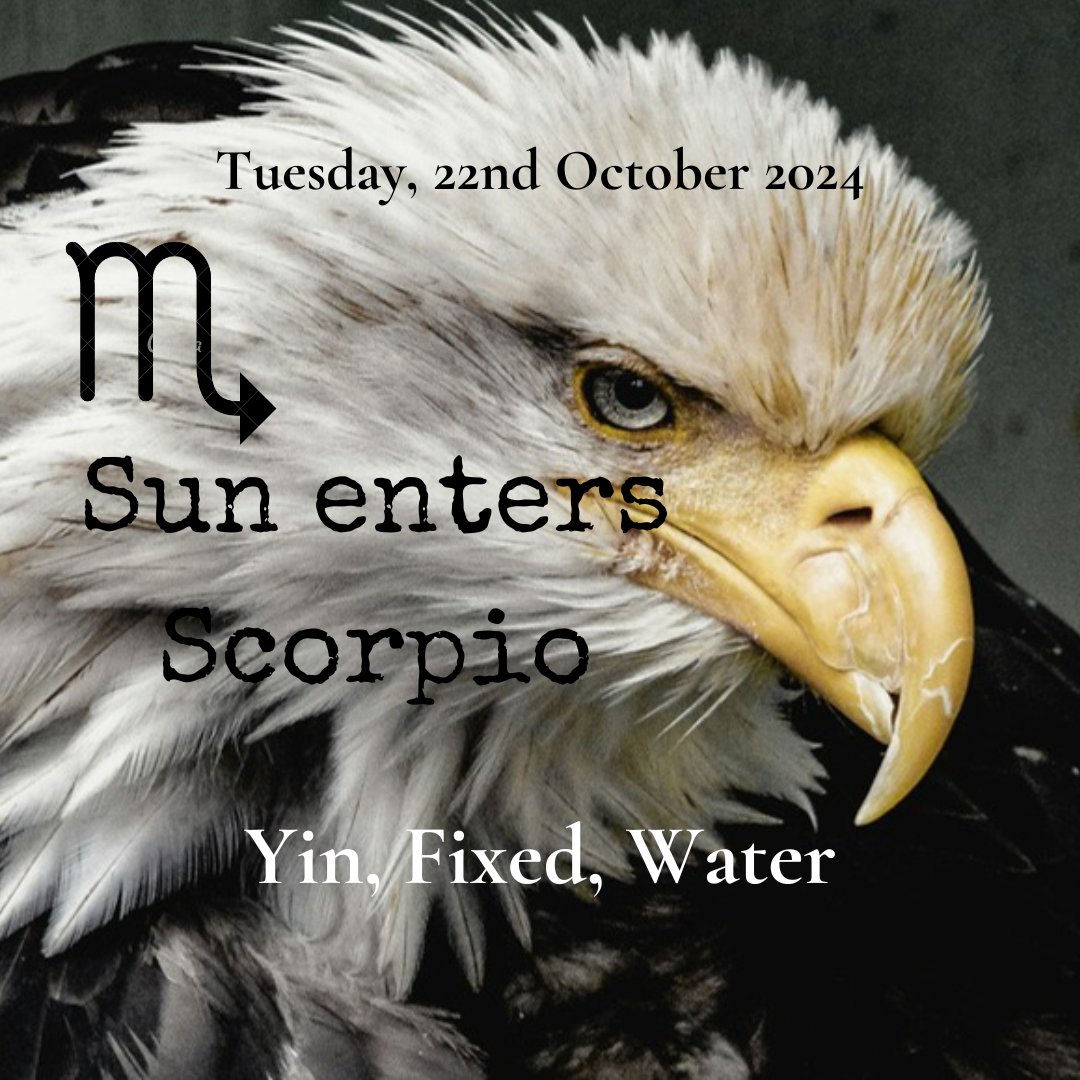 alisonastro's tweet photo. Sun enters Scorpio
https://t.co/iRqCKI5wQq
#Sun #Scorpio #Scorpioseason #power #Pluto #AstrologyJourney #transformation #astrologyjourney #AgeofAquarius #astrology #astrologer #astrologyconsultations #astrologyreading #selfdevelopment #astrologersofinstagram #zodiac #autumn #mars https://t.co/EYPPRIHDO8