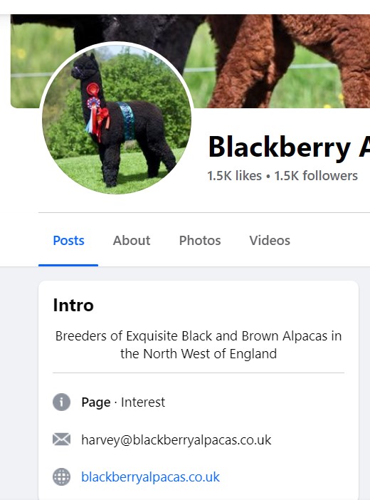 Broadhursts Bookseller Legacy tweet media