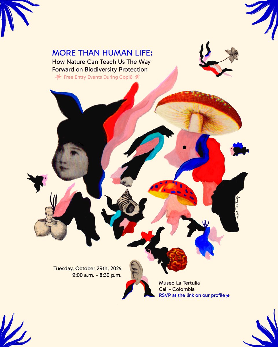 Join us on October 29th at the iconic Museo La Tertulia for a series of side events to #COP16. We’ve partnered with the MOTH Project to highlight how nature itself can teach us the way forward in biodiversity protection. All events are free, register here: shorturl.at/Lg2a8