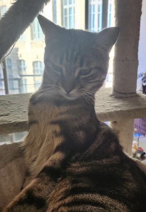 il regarde trop trop mal