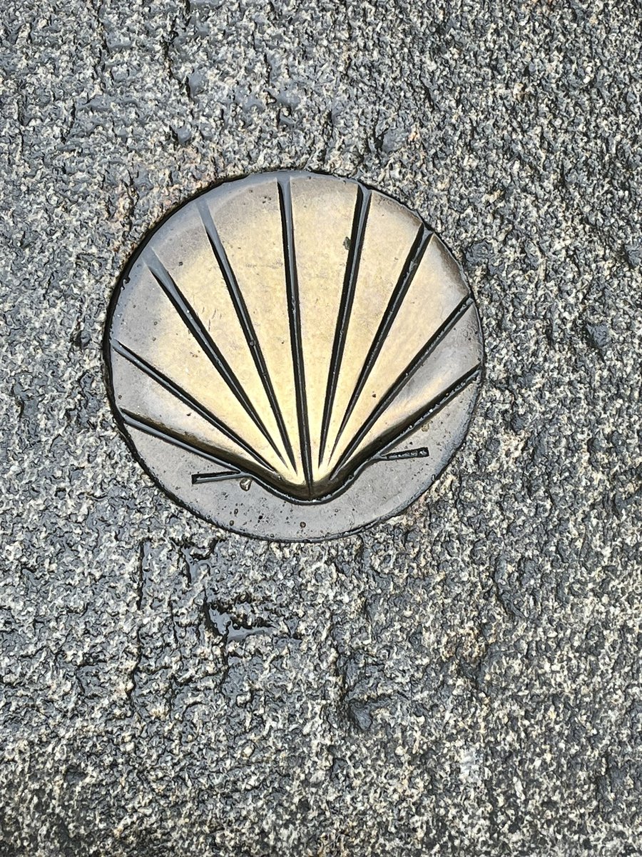 Dearbhail UíLughaidh tweet media