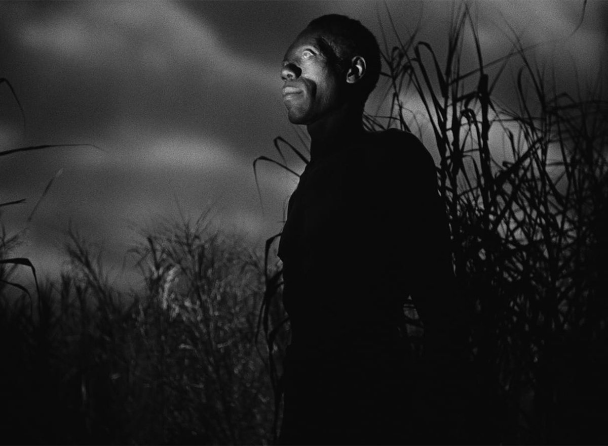 Slant_Magazine's tweet photo. Controversial issues imbue the gothic hugger-mugger of I WALKED WITH A ZOMBIE and THE SEVENTH VICTIM with intimacy and intensity. Now available on Criterion 4K UHD Blu-ray. https://t.co/GGIo5aG44O https://t.co/KWhcPtav6a
