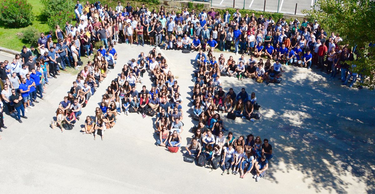 laribio consulting tweet media