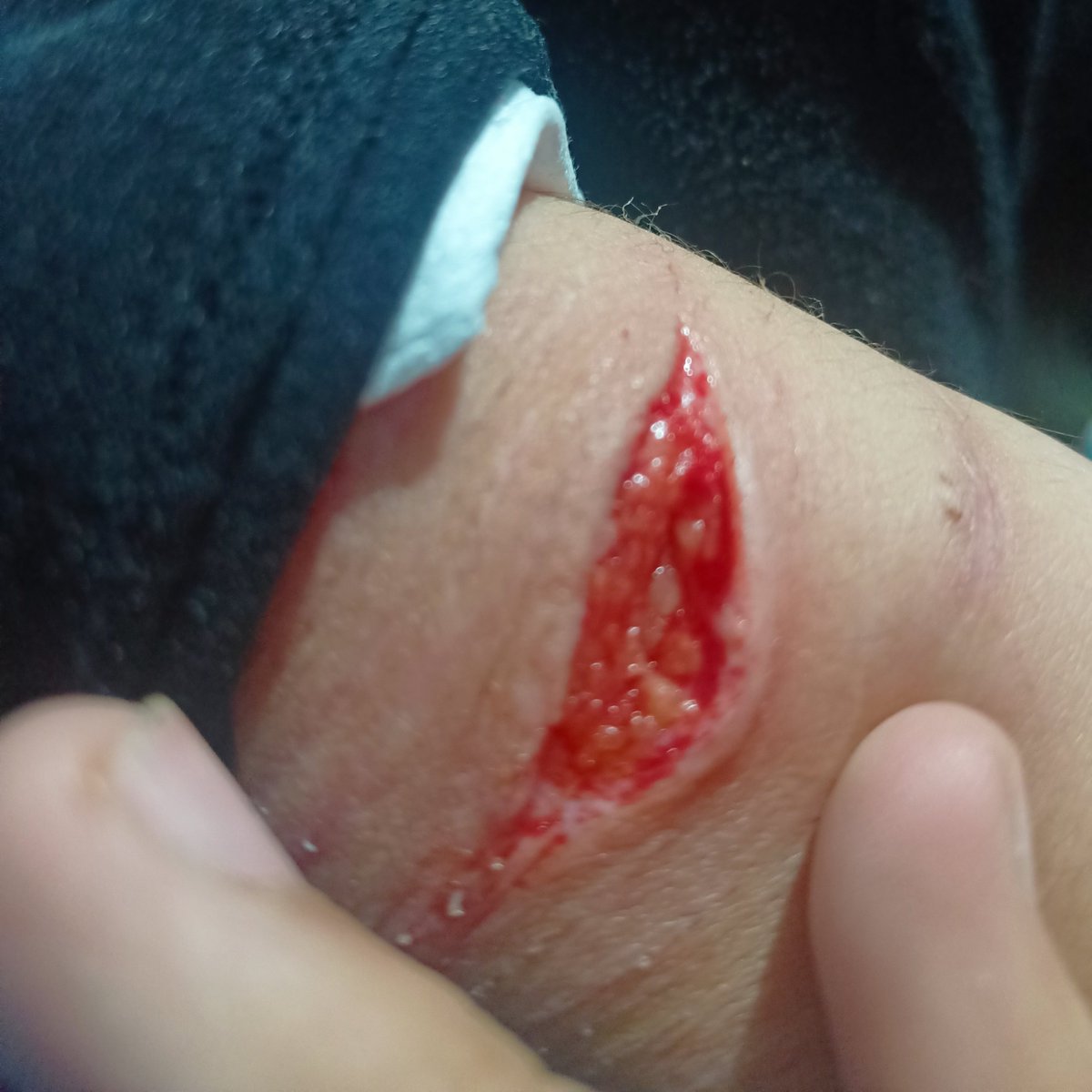 gatosskibidis's tweet photo. i con un koso sin filo 🙀 #sh #shtwt #babycut #styro #minibean https://t.co/KWDXSmGSA7