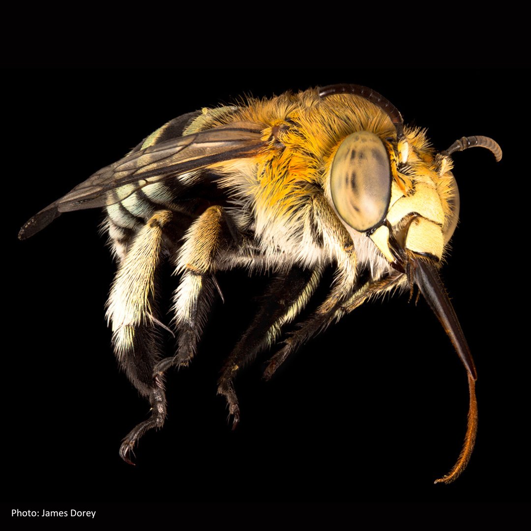 CSIRO Publishing tweet media