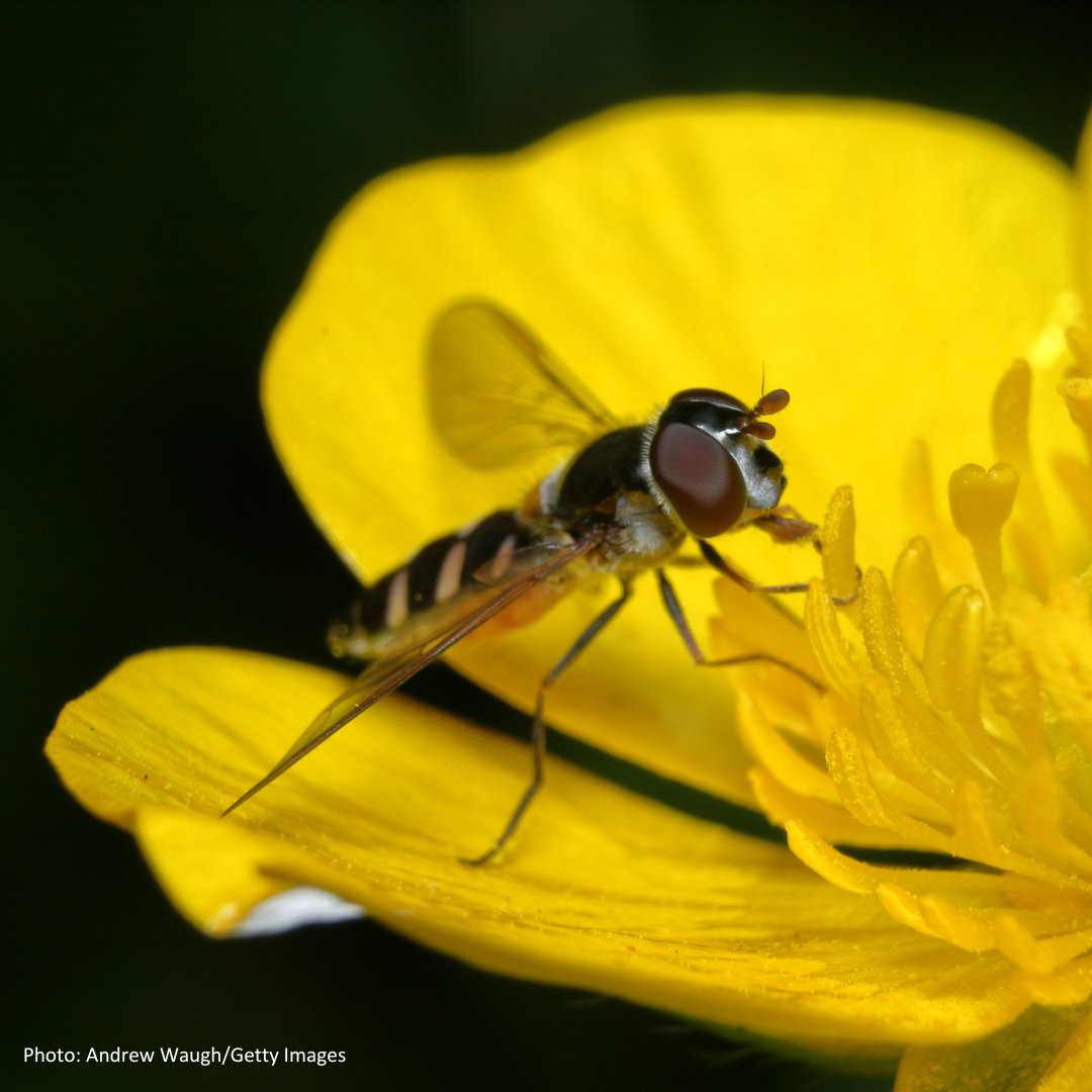 CSIRO Publishing tweet media
