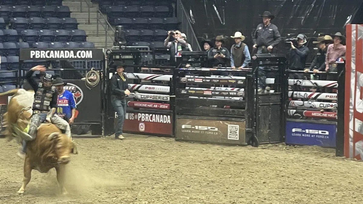 Eatonia’s Dakota Buttar claims third at PBR Medicine Hat Classic dlvr.it/TFb2Dp