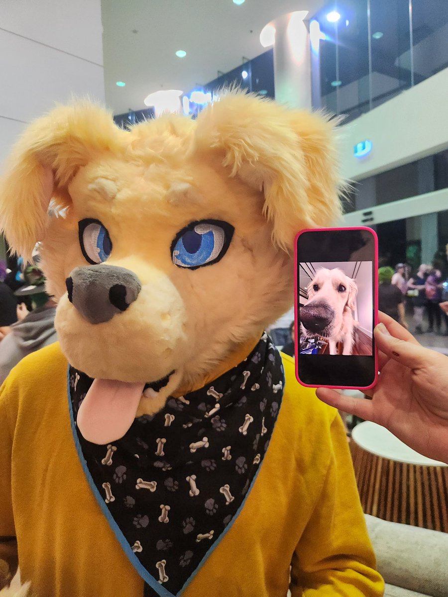 <a href="/frouzon/">🐈‍⬛Frouzon.bsky.social</a> I think for me fursuiting is one of the best ways to express myself 🎾

It’s also a great way to dissociate from life. While I’m suiting, I just get to be cute and fluffy rather than having to deal with daily adult stresses, ya know?

Besides, I look much cuter as a dog anyway 🤣