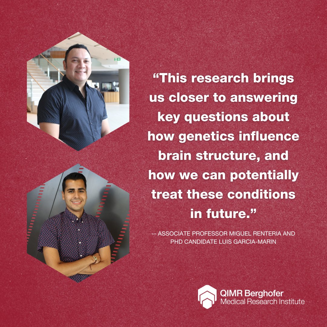 QIMR Berghofer (@qimrb_institute) on Twitter photo Brain Breakthrough 🧠 The world’s largest study of #brain volume published now in <a href="/NatureGenet/">Nature Genetics</a> has revealed genetic links to #ADHD and #Parkinson’s Disease. Read the full story 👉 qimrberghofer.edu.au/news/worlds-la… #research #ENIGMA <a href="/USCLONI/">Lab of Neuro Imaging</a> Brain Breakthrough 🧠 The world’s largest study of #brain volume published now in <a href="/NatureGenet/">Nature Genetics</a> has revealed genetic links to #ADHD and #Parkinson’s Disease. Read the full story 👉 qimrberghofer.edu.au/news/worlds-la… #research #ENIGMA <a href="/USCLONI/">Lab of Neuro Imaging</a>
