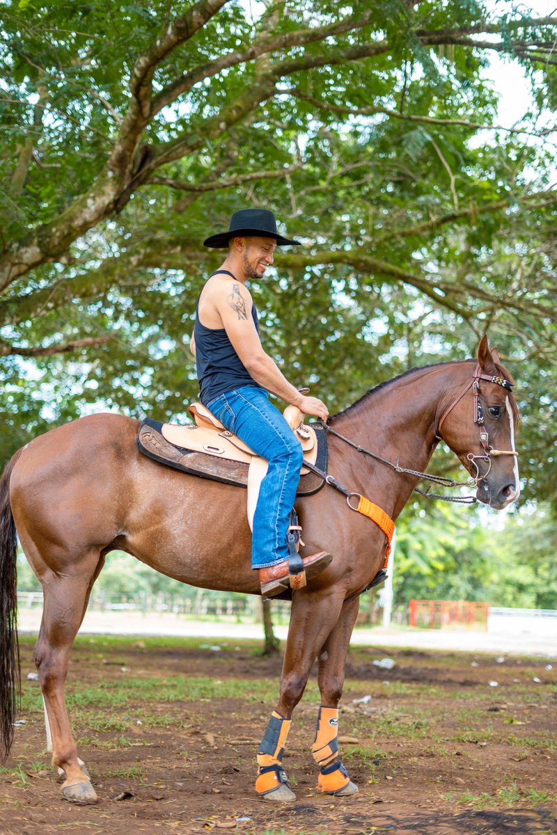 hjnf22852's tweet photo. Los caballos ejemplo de elegancia y nobleza 💕💯 https://t.co/x7tjHL6IOh