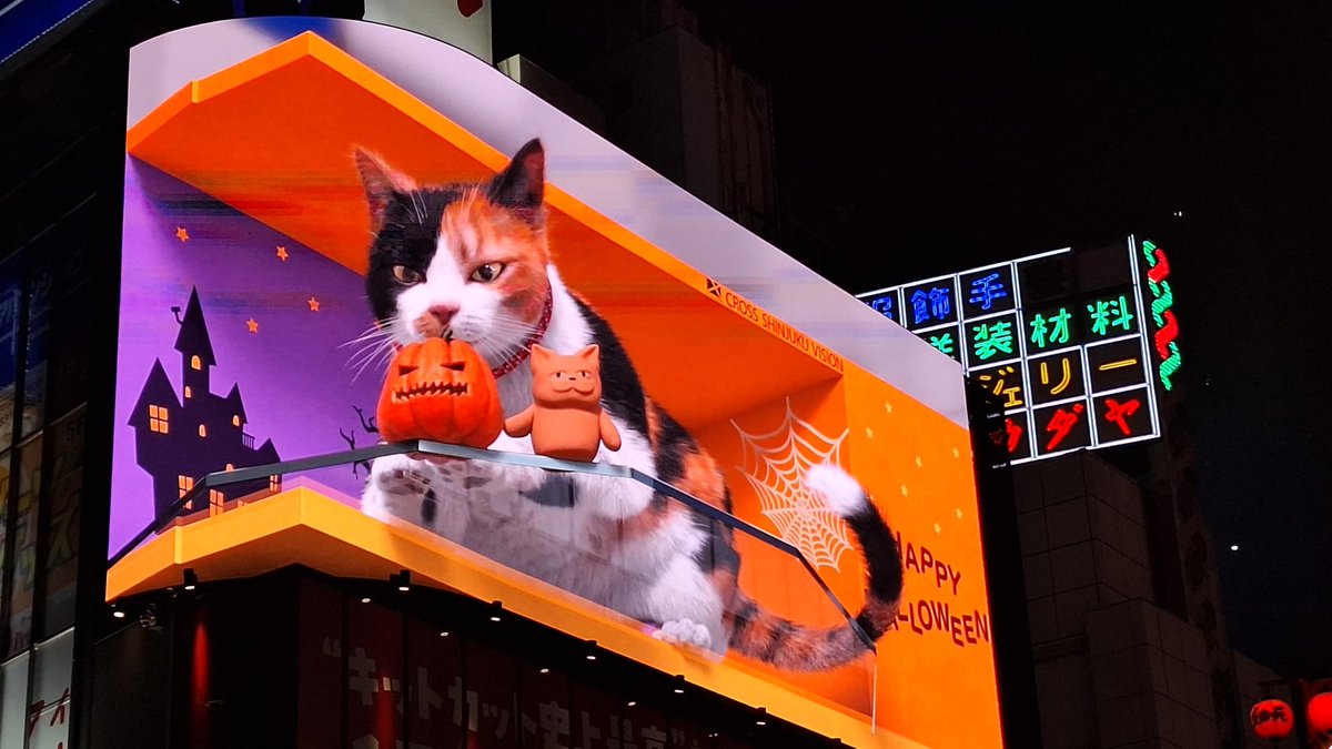 ribbionss's tweet photo. Shinjuku cat https://t.co/GAa6ABXPdj