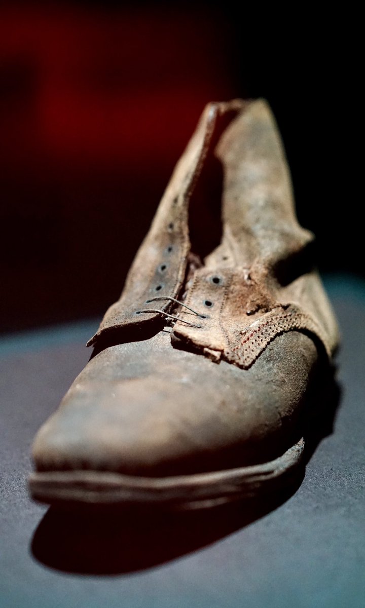 Michael Kalish tweet media