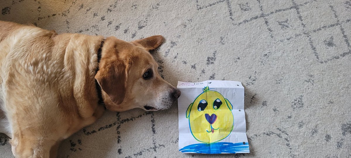 Mike.Barbour.the.teacher tweet media