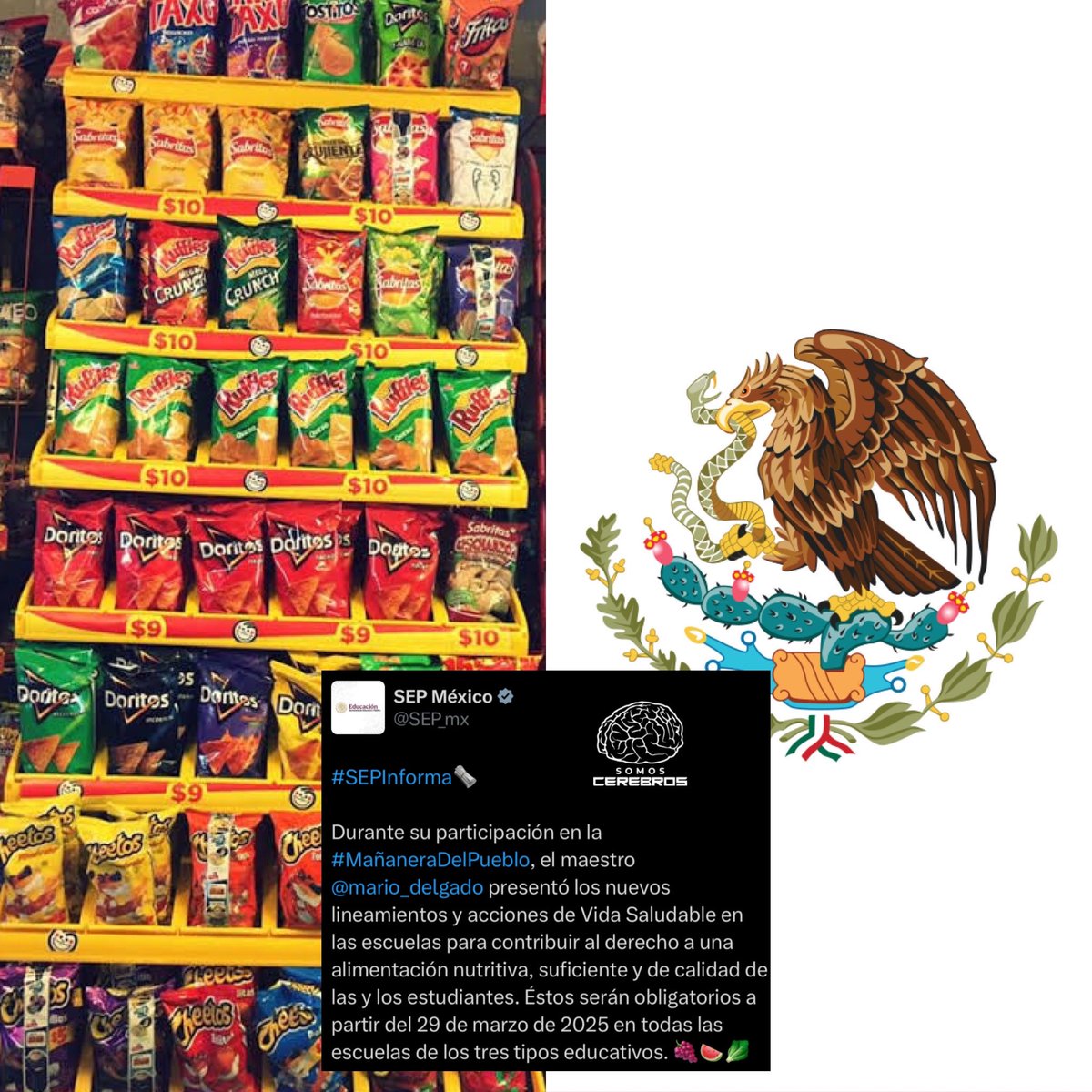 Cerebros tweet media