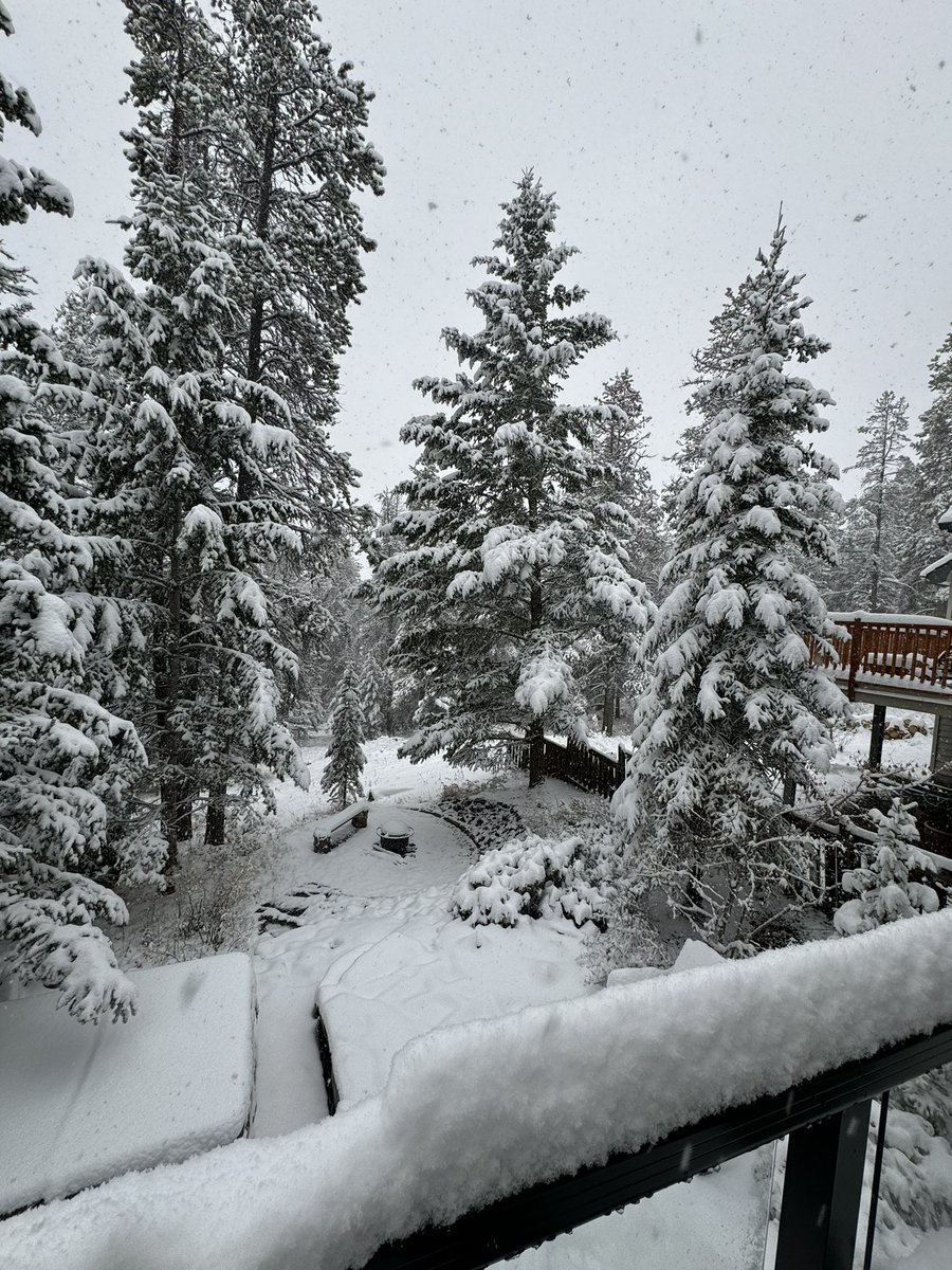 And tomorrow arrived with 10cm!