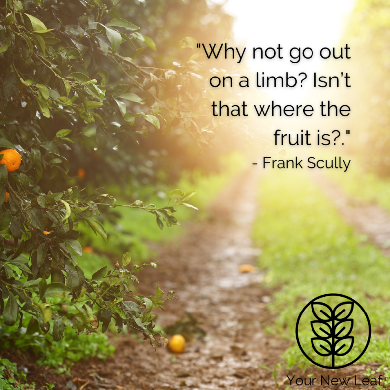 your_new_leaf's tweet photo. Here's your #mondaymoment post! 
Please click link for full blog post! 
https://t.co/9VSY5wq4OX

#reminder #inspiration #goals #keepgoing #youvegotthis #your_new_leaf #turnoveryournewleaf https://t.co/sEoFKjnKdN