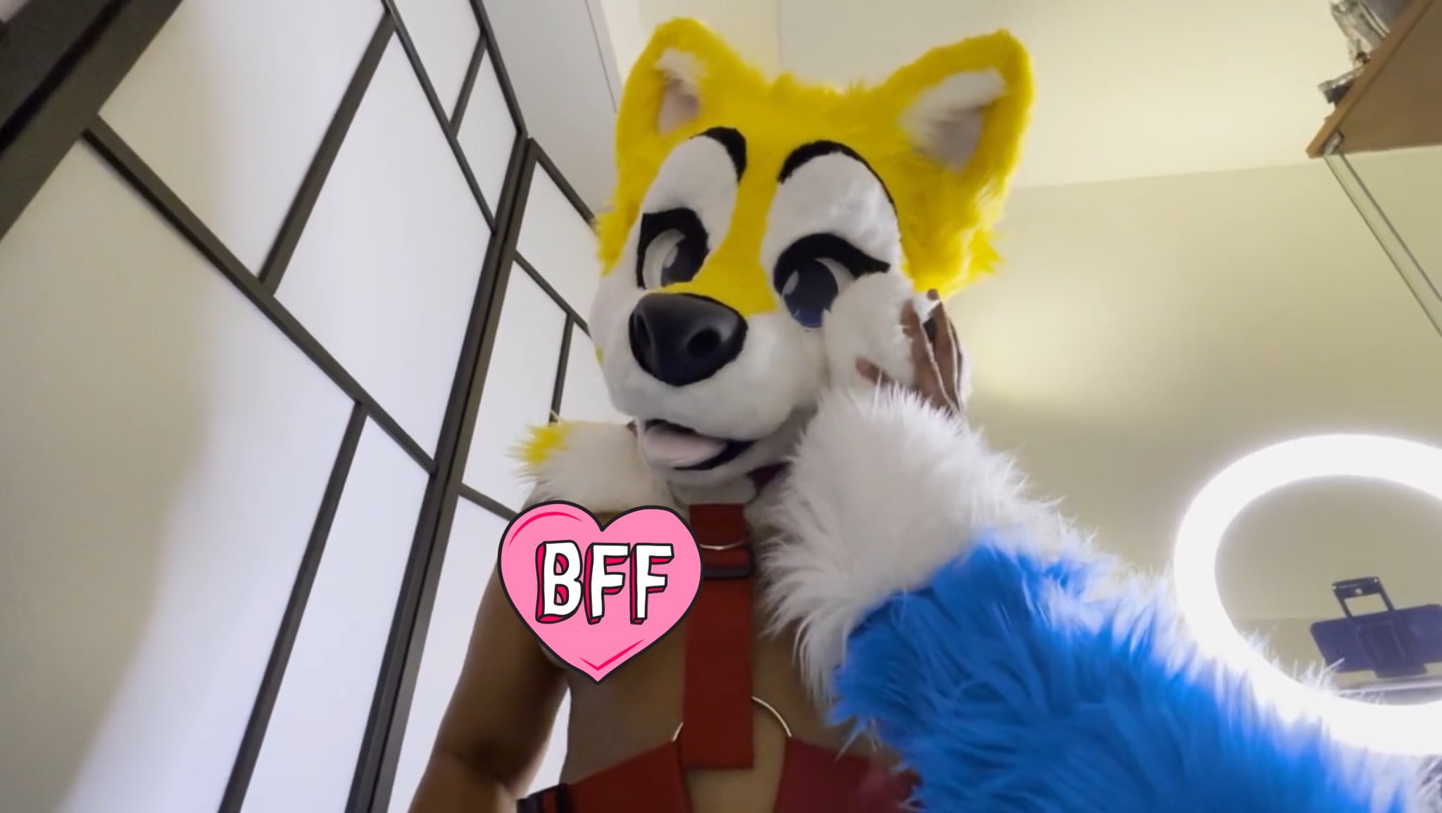 1 pic. 🔥🔥 WE ARE BACK BABY 🔥🔥 After a long hiatus, we are back in the saddle. Hotter and fluffier than EVER! ✨❤️ New video on PH NOW! (link in our bio 👀) #Murrsuit #Furry https://t.co/F1PRiMRt6D