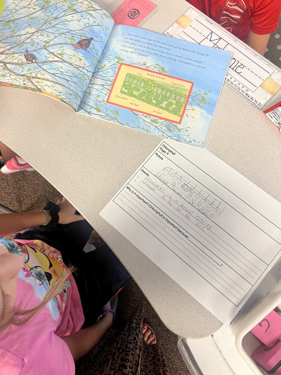 There is nothing my students can’t do! Always impressed when I see them working in groups. ♥️ <a href="/RV_Panthers/">Ridgeview Elementary</a>