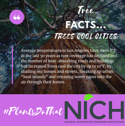 Neb_EMGV's tweet photo. A few tree facts...

#Plantsmakepeoplehappy #IANR #unlagrohort #nebpublicmedia #nebext https://t.co/lwD8dXOSnw
