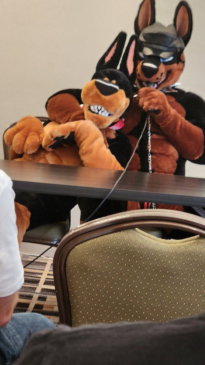 Hanging out with <a href="/Duke_Doberman/">🥃 ᴰᵤᵏᵉ the 👑 ᴅᴏʙᴇʀᴍᴀɴ</a> at the Q&amp;A