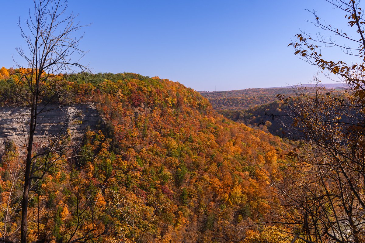 Autumn's beauty on display at Letchworth today. Unfortunately, I was only passing through for a shoot and only had time for these snaps.

<a href="/13WHAM/">13WHAM</a> <a href="/Wxandgardenguy/">Mark McLean</a> <a href="/scotthetsko/">𝕊ℂ𝕆𝕋𝕋 ℍ𝔼𝕋𝕊𝕂𝕆</a> <a href="/MartySnyder13/">Marty Snyder 13WHAM</a> 

#fallfoliage #autumn #upstateny #iloveny #nys_landscapes #nikonusa