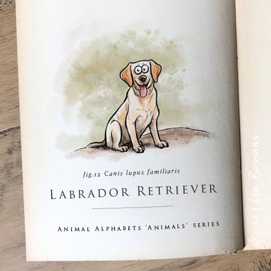 Ian Bossons (@ian_bossons) on Twitter photo A Labrador retriever for this week’s #AnimalAlphabets animals themed prompt.
<a href="/AnimalAlphabets/">Animal Alphabets</a> #LabradorRetriever #illustration #animal #cartoon #illustrator #artchallenge #weeklyartchallenge A Labrador retriever for this week’s #AnimalAlphabets animals themed prompt.
<a href="/AnimalAlphabets/">Animal Alphabets</a> #LabradorRetriever #illustration #animal #cartoon #illustrator #artchallenge #weeklyartchallenge