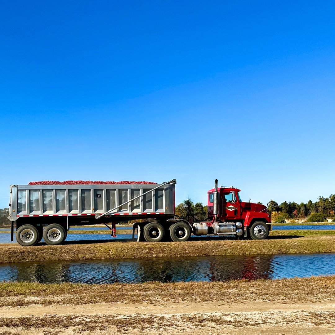 It's a beautiful day to be harvesting in the bogs. We hope you are able to enjoy this warm weather!
