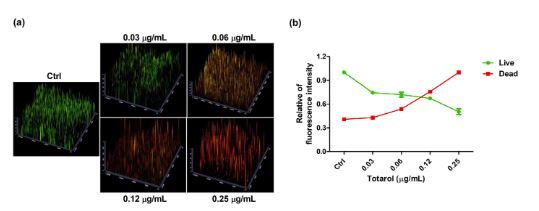 Canadian Journal of Microbiology (@canjmicrobio) on Twitter photo Now in the October issue of <a href="/CanJMicrobio/">Canadian Journal of Microbiology</a> 🔬👓
Totarol exhibits antibacterial effects through antibiofilm and combined interaction against vancomycin-resistant Enterococcus faecalis | Hyeon and Eom
🔗ow.ly/s9ks50TJXP7
<a href="/karidunfield/">kari dunfield</a>
#totarol #antibacterial #antibiofilm Now in the October issue of <a href="/CanJMicrobio/">Canadian Journal of Microbiology</a> 🔬👓
Totarol exhibits antibacterial effects through antibiofilm and combined interaction against vancomycin-resistant Enterococcus faecalis | Hyeon and Eom
🔗ow.ly/s9ks50TJXP7
<a href="/karidunfield/">kari dunfield</a>
#totarol #antibacterial #antibiofilm