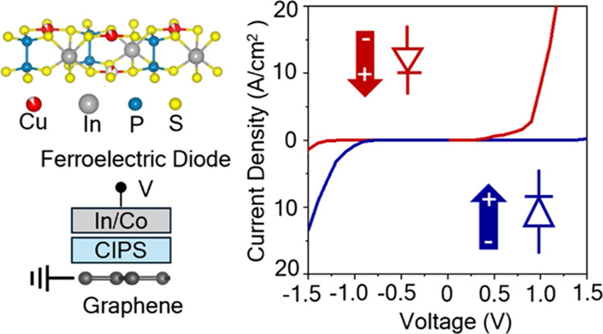 Chhowalla Lab (@chhowallal) on Twitter photo Check out our latest paper where we explore "Multistate Ferroelectric Diodes with High Electroresistance Based on van der Waals Heterostructures" in <a href="/NanoLetters/">Nano Letters</a>! pubs.acs.org/doi/full/10.10โฆ Check out our latest paper where we explore "Multistate Ferroelectric Diodes with High Electroresistance Based on van der Waals Heterostructures" in <a href="/NanoLetters/">Nano Letters</a>! pubs.acs.org/doi/full/10.10โฆ