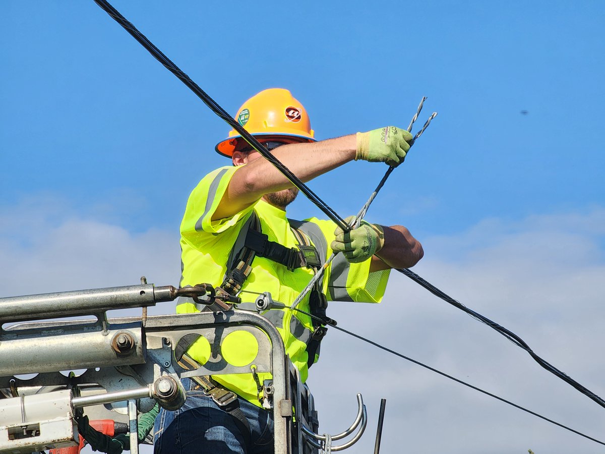 RD_NewYork tweet media