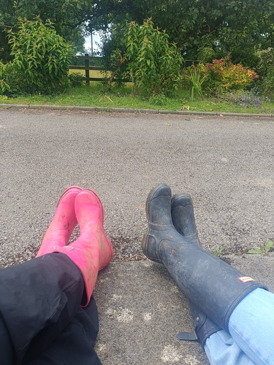 Brodie S. A. Thompson tweet media