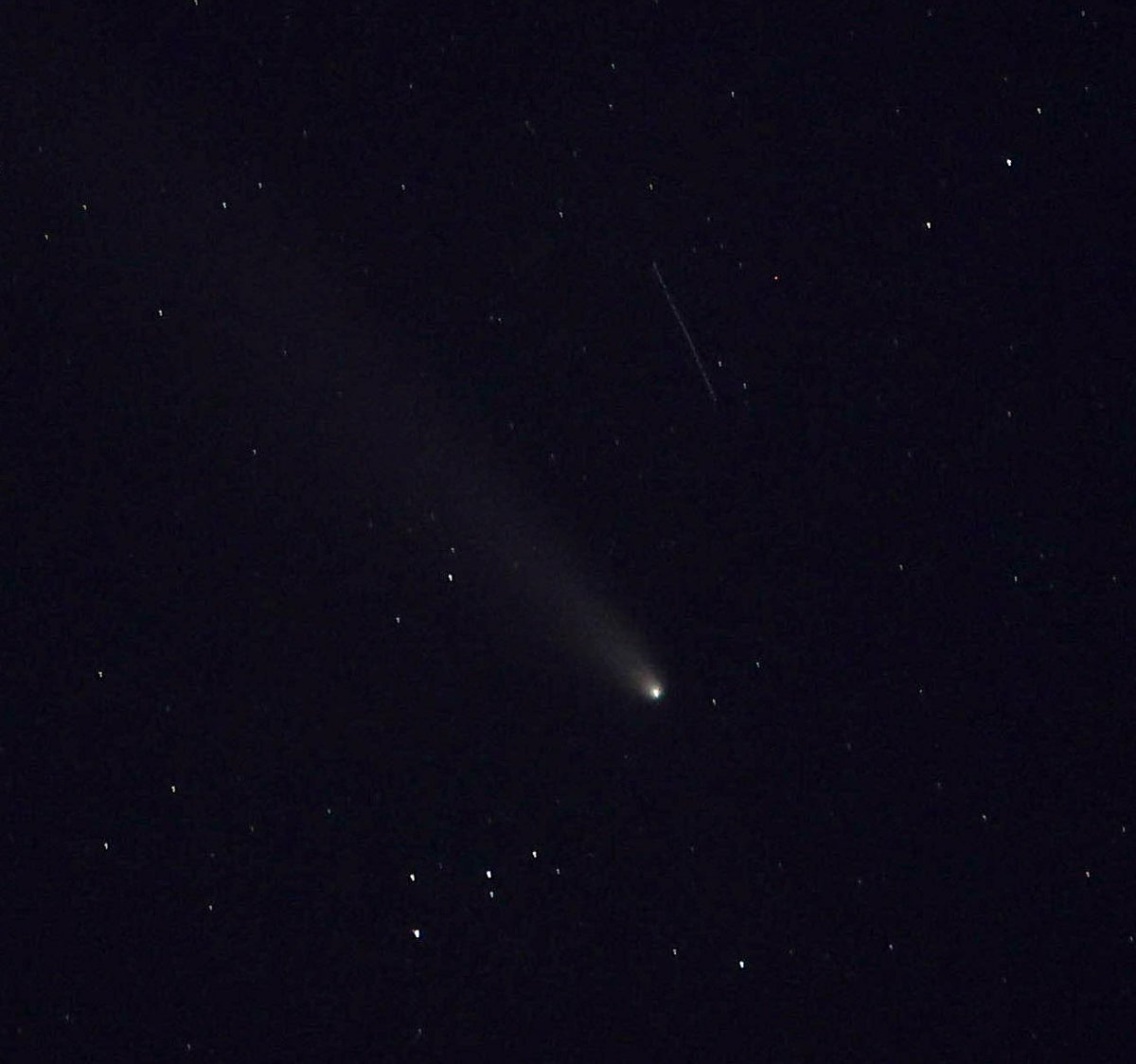 Paul Gray tweet media