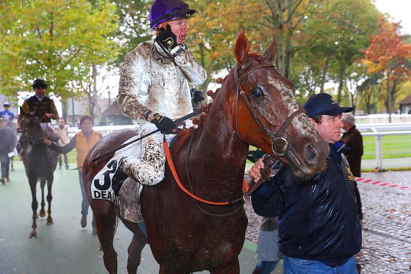 Stéphanie Nigge (@ecuries_nigge) on Twitter photo MISTER GATZ (Adlerflug) arrache une très belle 🥈 place dans le Prix Vulcain (Listed) à Deauville. Toutes nos félicitations à l’ensemble de ses propriétaires & à son jockey <a href="/tony_piccone/">Tony Piccone</a>. Un grand bravo à toute notre équipe 🙏🙏🙏 MISTER GATZ (Adlerflug) arrache une très belle 🥈 place dans le Prix Vulcain (Listed) à Deauville. Toutes nos félicitations à l’ensemble de ses propriétaires & à son jockey <a href="/tony_piccone/">Tony Piccone</a>. Un grand bravo à toute notre équipe 🙏🙏🙏