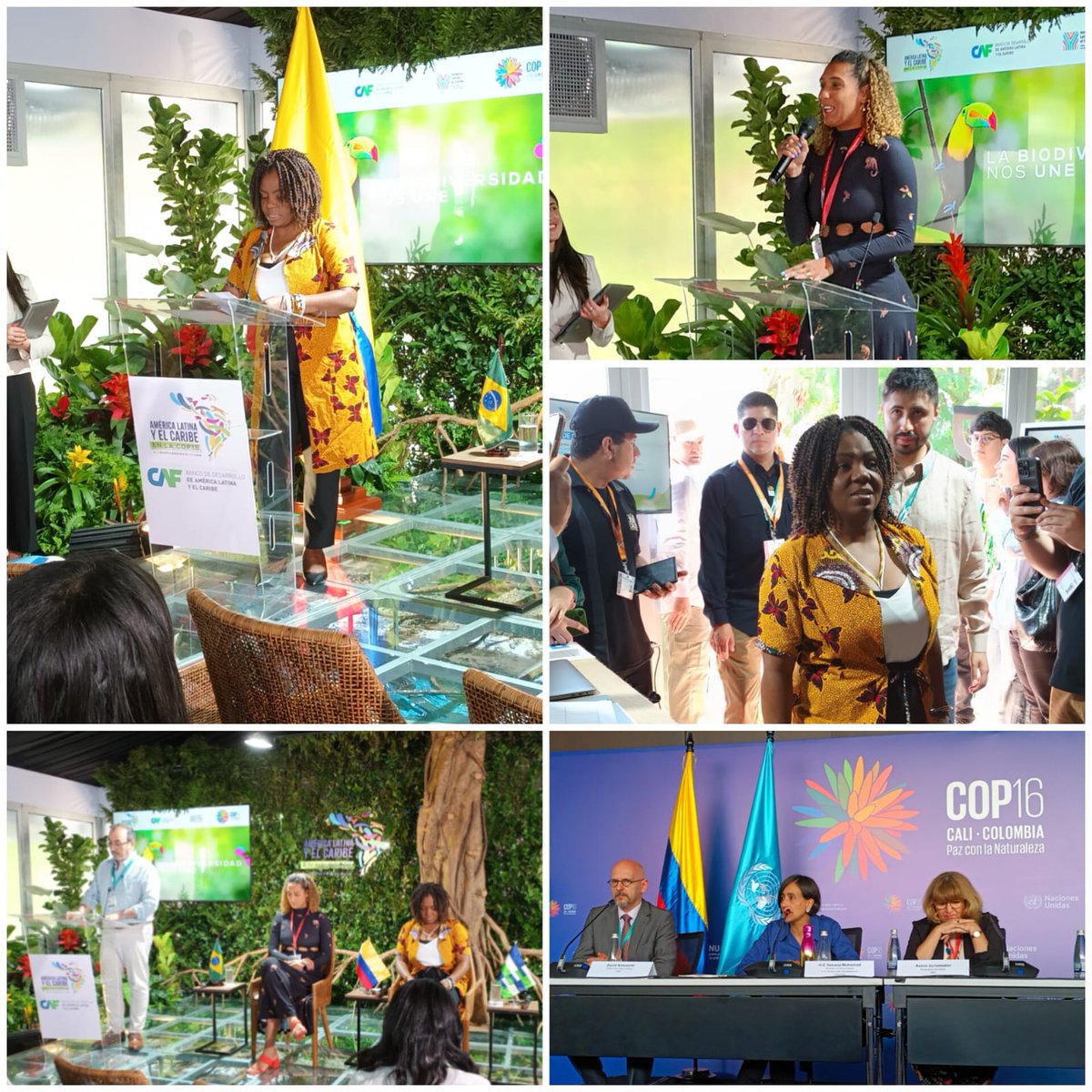 Arrancó la #COP16 y aquí te cuento los detalles de la inauguración y el día 1 <a href="/COP16Oficial/">COP16 COLOMBIA 🇨🇴</a>   linkedin.com/pulse/la-mayor…